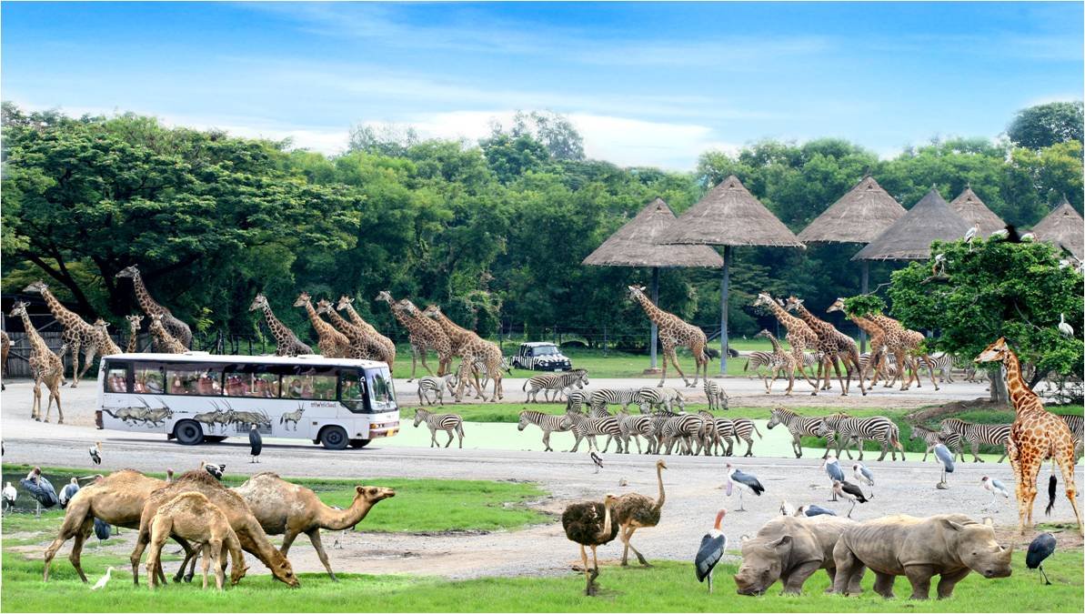 Safari World dziekie zwierzęta